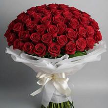 Букет 101 Красная роза Блэк Мэджик в Джедугхабль