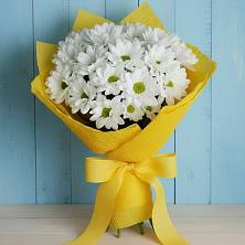 Букет цветов из:  Хризантемы в Джедугхабль