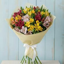 Букет цветов из:  Альстромерии в Джедугхабль