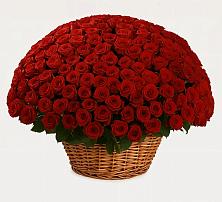 Премиум букет из: Розы в Джедугхабль