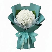 Букет цветов из:  Гортензия в Джедугхабль